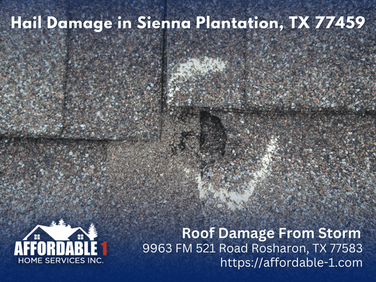 Insurance Adjuster Meeting