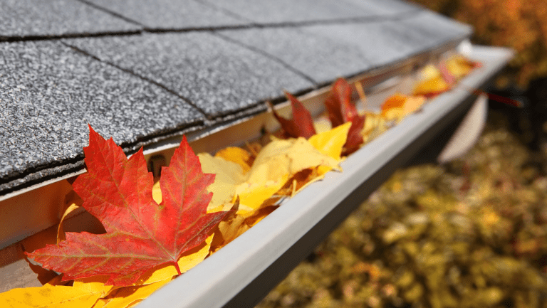 Gutter Installation